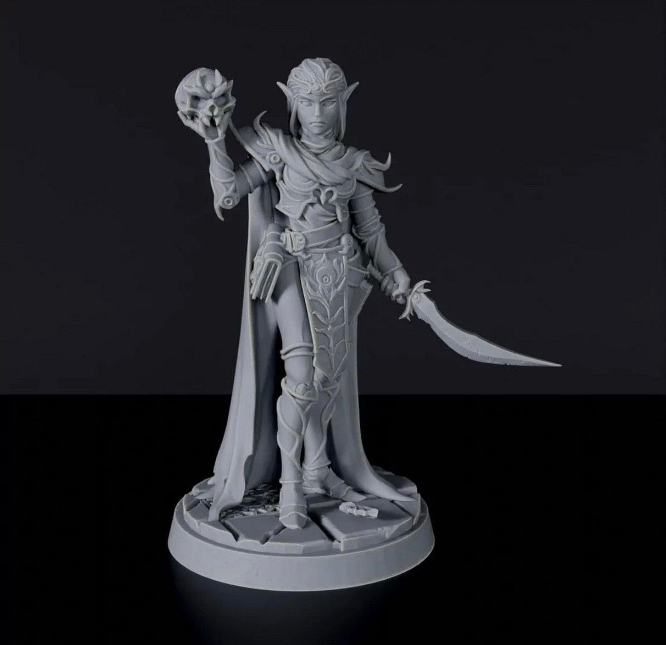 D20 Heroes: Blood and Magic RPG Hero Set