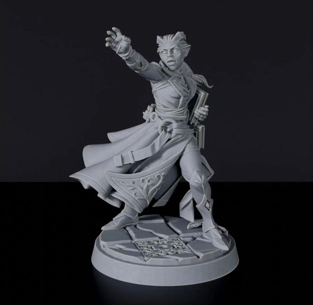 D20 Heroes: Blood and Magic RPG Hero Set