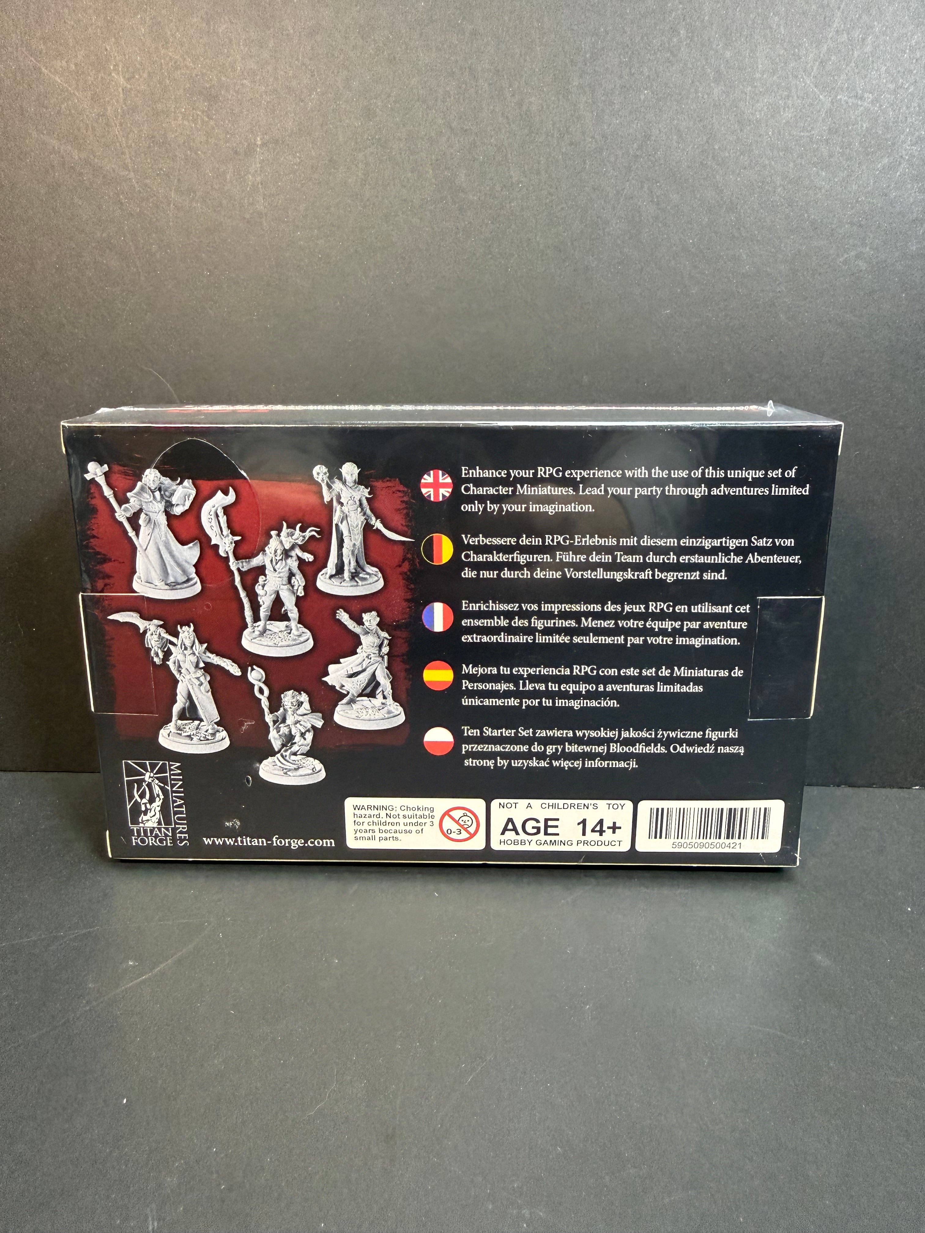 D20 Heroes: Blood and Magic RPG Hero Set