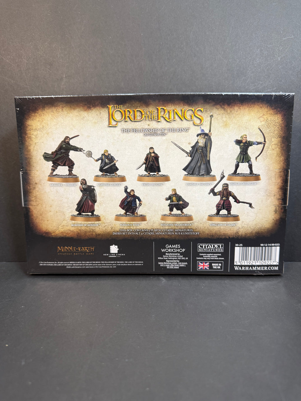 The Fellowship of the Ring