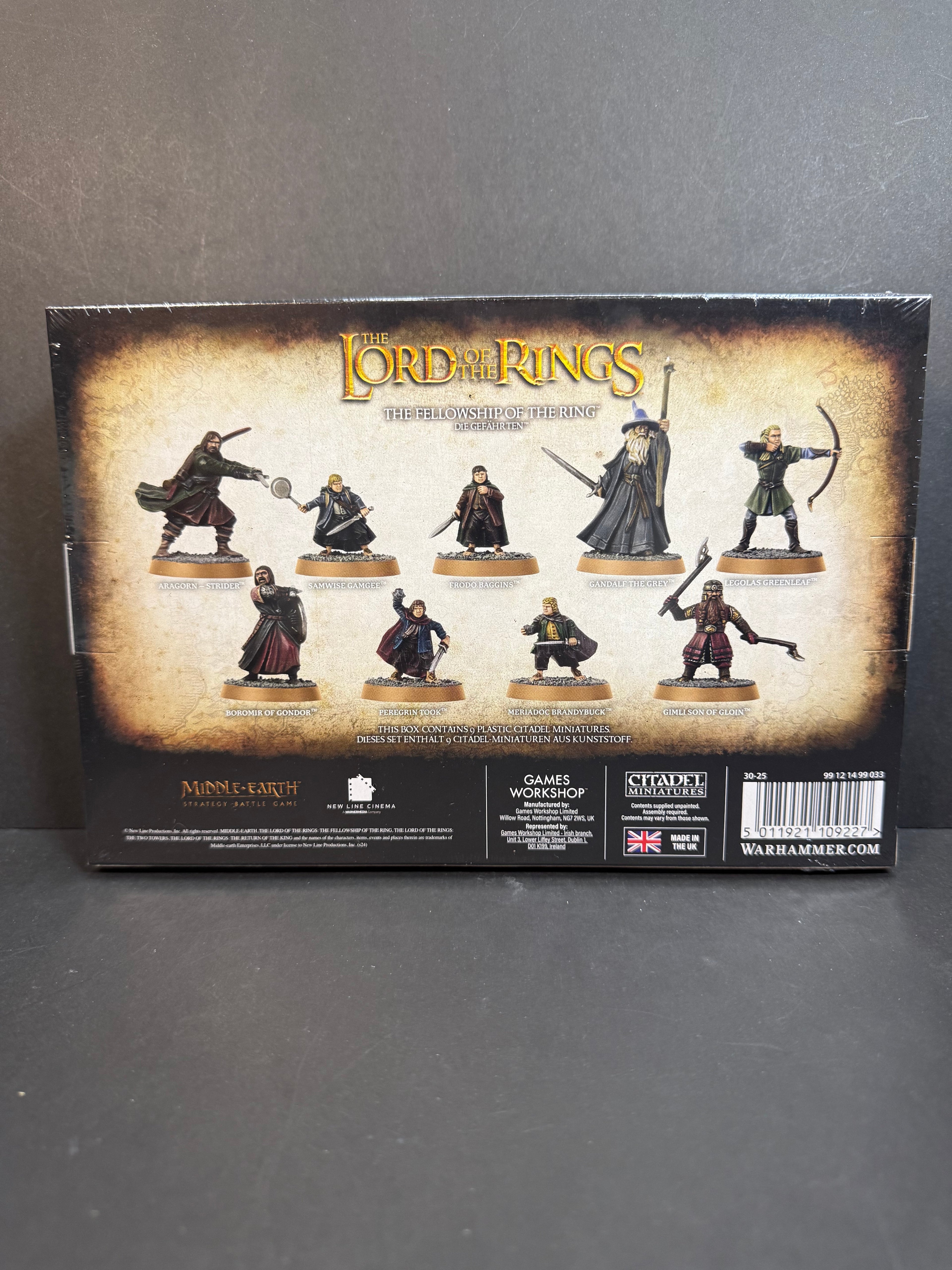 The Fellowship of the Ring