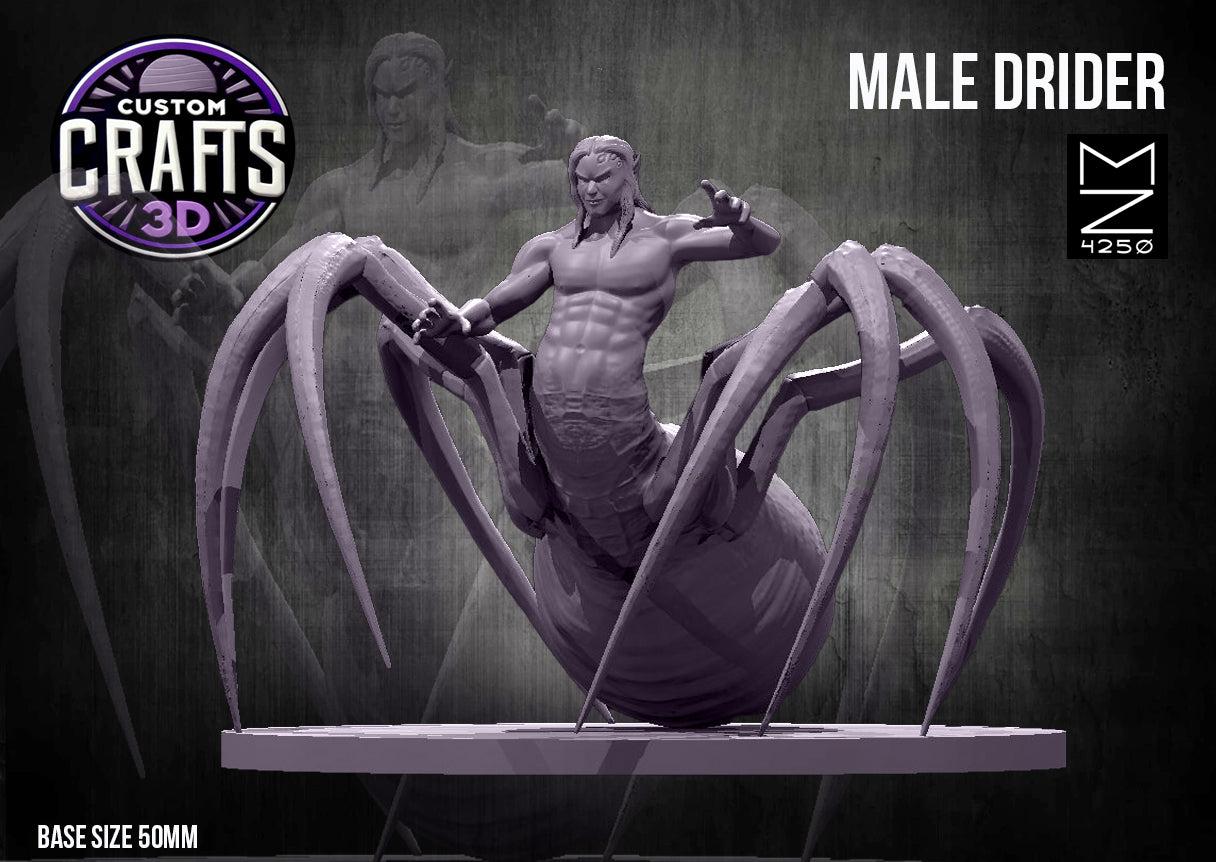 Drider Male 50mm Base