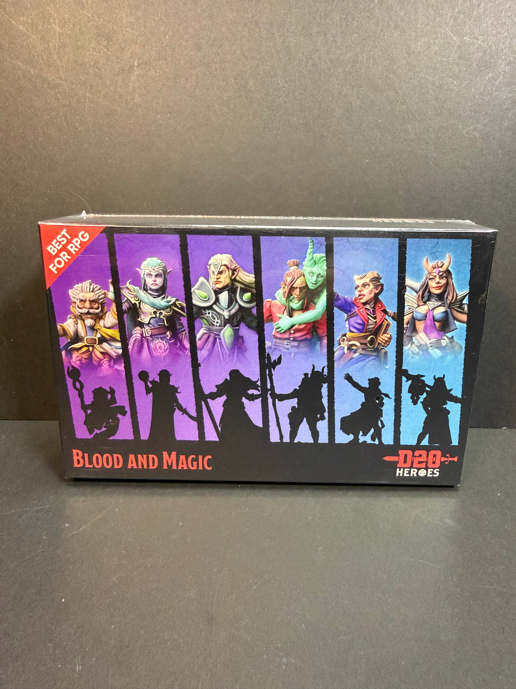 D20 Heroes: Blood and Magic RPG Hero Set