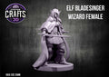Elf Bladesinger Wizard female 25mm Base