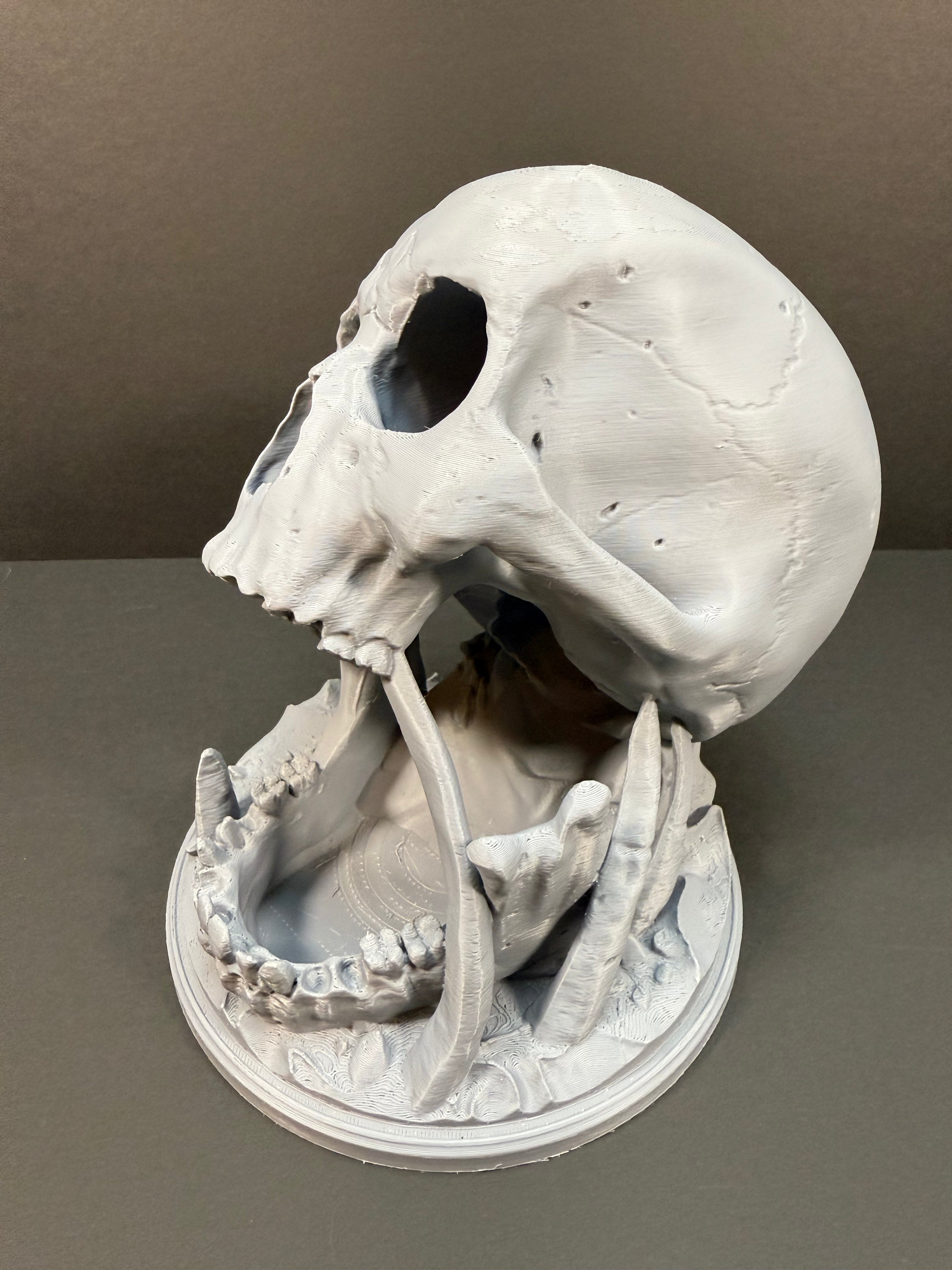 Skull Dice Thrower