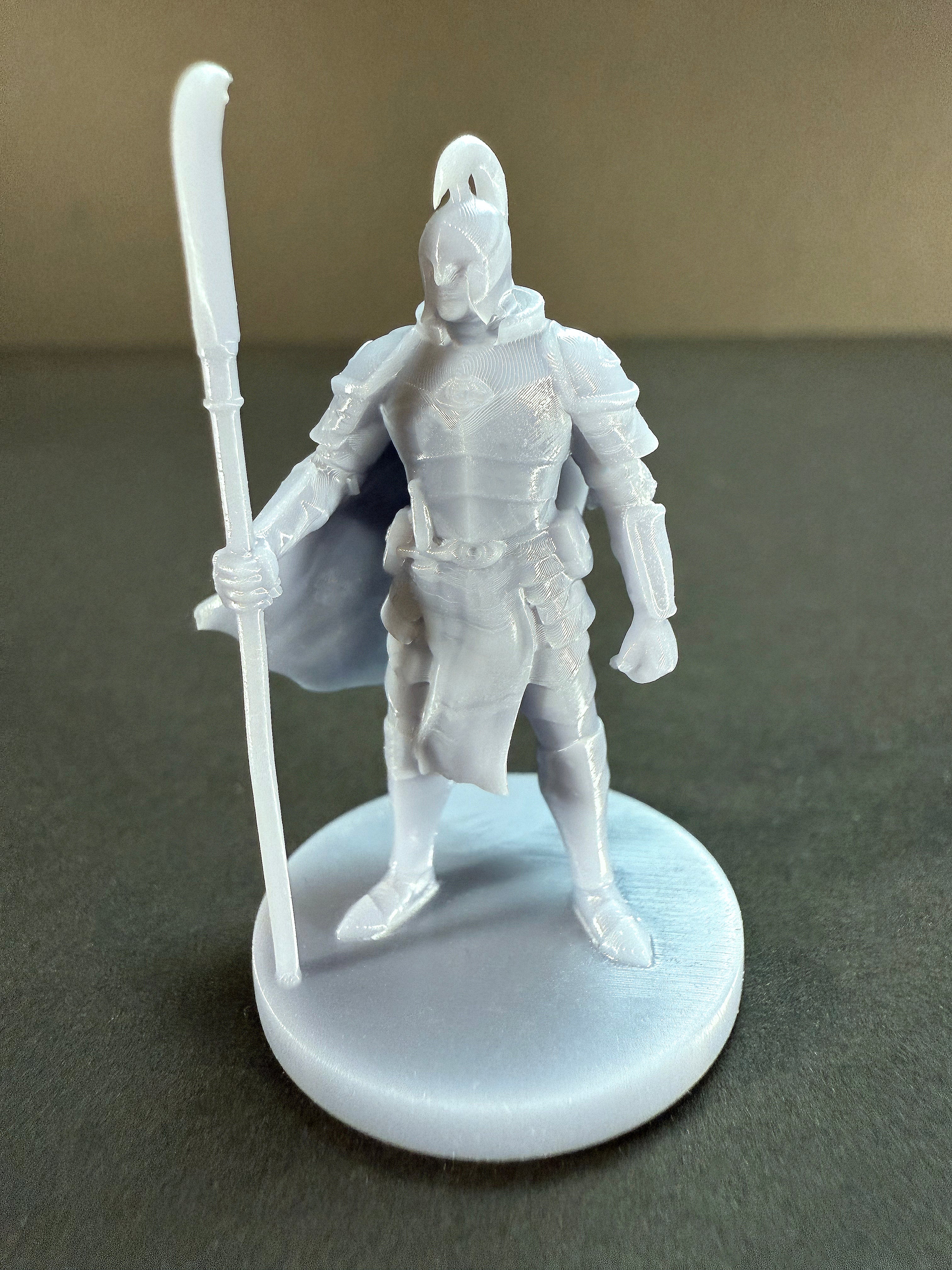 Elf Paladin Starter Set