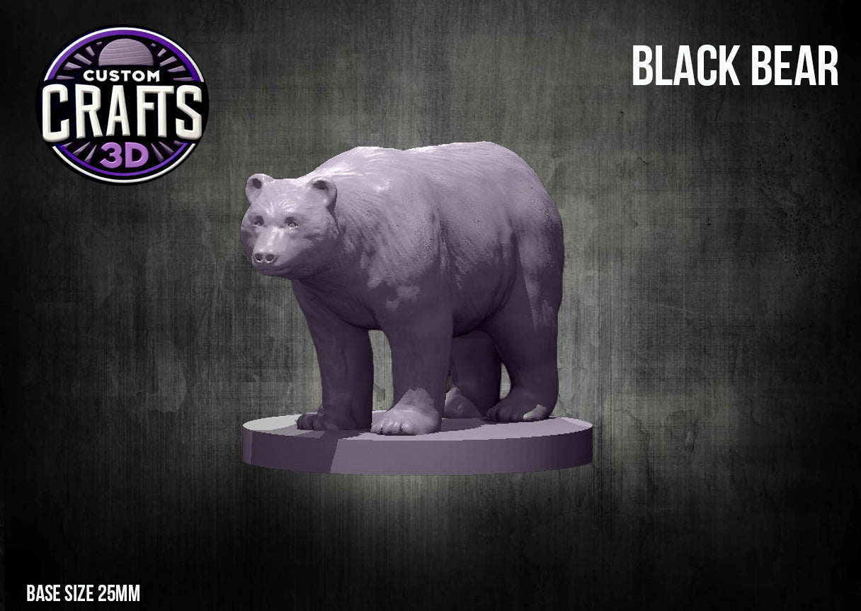 Black Bear 25mm Base